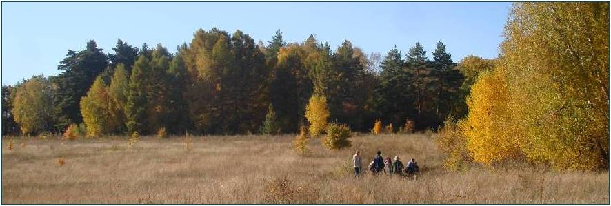 Учащиеся МОУ "СОШ с.Сосновка" на экскурсии в Злобовском лесу